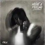 FOLA – who does that? Ft. Bella Shmurda
