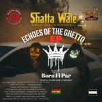 Shatta Wale – Worldwide Whine