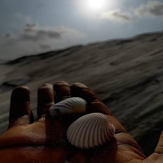 Meanboy – Dreaming